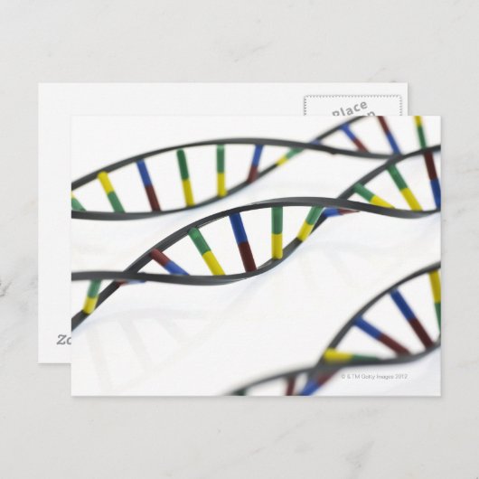 DNA-moleculen (deoxyribonucleïnezuur). Briefkaart (Voorkant / Achterkant)