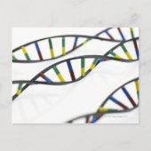 DNA-moleculen (deoxyribonucleïnezuur). Briefkaart (Voorkant)