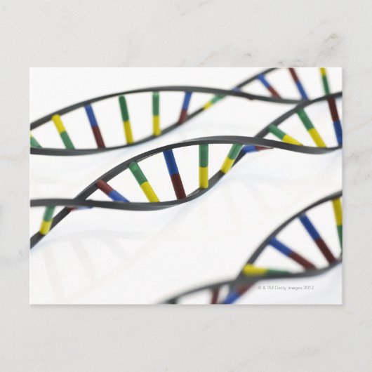 DNA-moleculen (deoxyribonucleïnezuur). Briefkaart (Voorkant)
