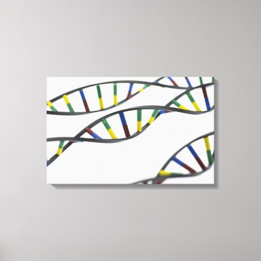 DNA-moleculen (deoxyribonucleïnezuur). Canvas Afdruk (Voorkant)