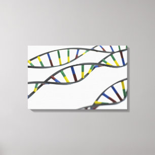 DNA-moleculen (deoxyribonucleïnezuur). Canvas Afdruk