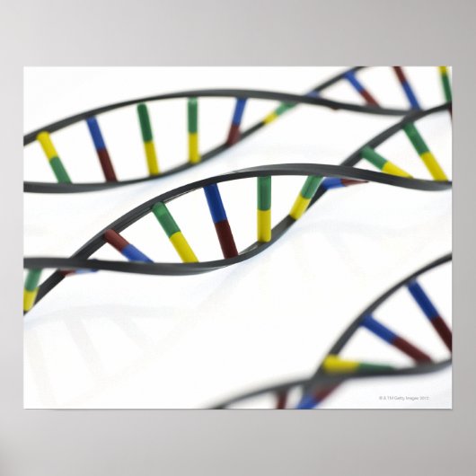 DNA-moleculen (deoxyribonucleïnezuur). Poster (Voorkant)