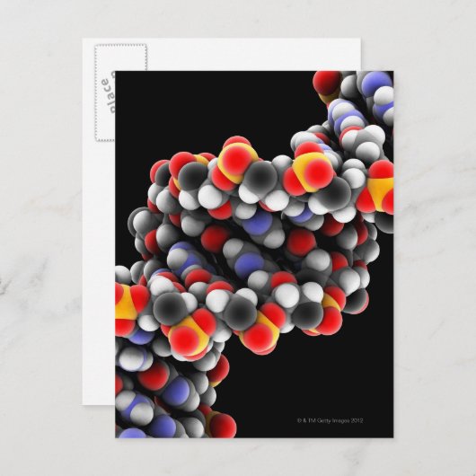 DNA-molecuul. Moleculair model van DNA Briefkaart (Voorkant / Achterkant)