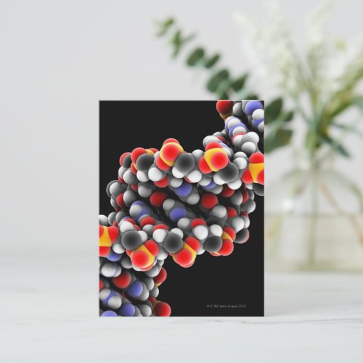 DNA-molecuul. Moleculair model van DNA Briefkaart (Staand voorkant)