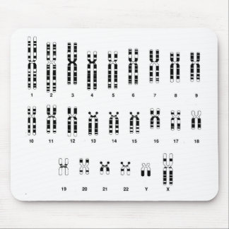 DNA mousepad Muismat