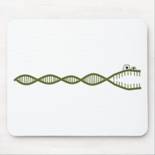 DNA MUISMAT