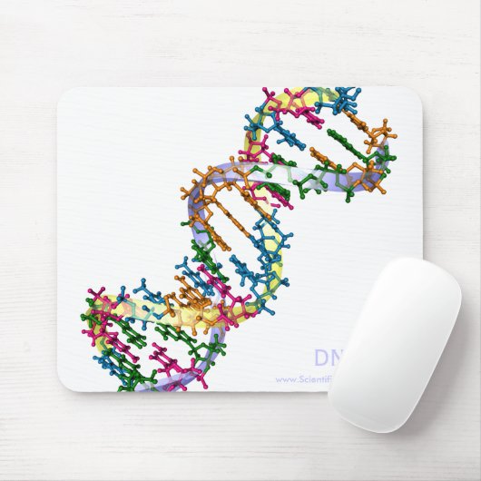 DNA MUISMAT (Met muis)