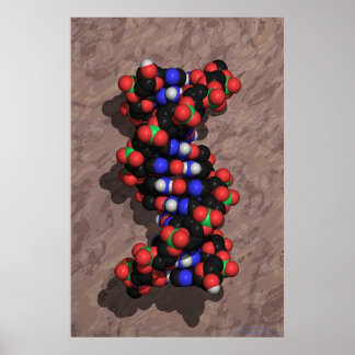 DNA op Stone Poster