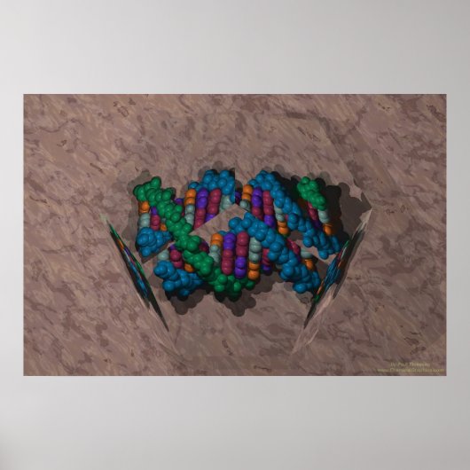 DNA Paperweight Poster (Voorkant)