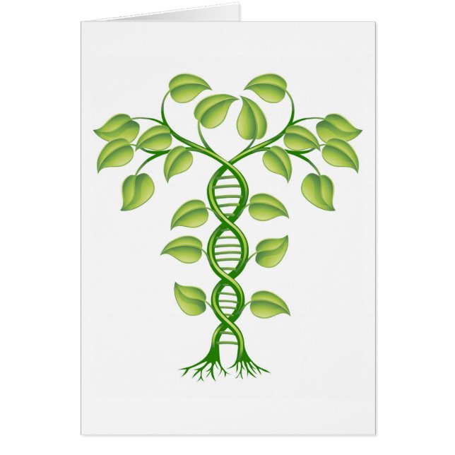 DNA-plant (Voorkant)
