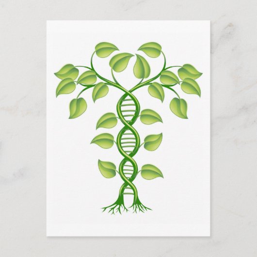 DNA-plant Briefkaart (Voorkant)