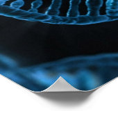 DNA POSTER (Hoek)