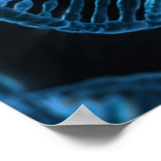 DNA POSTER (Hoek)