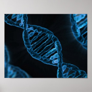 DNA POSTER