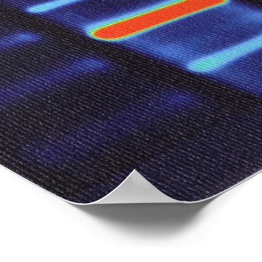 DNA-Poster Poster (Hoek)