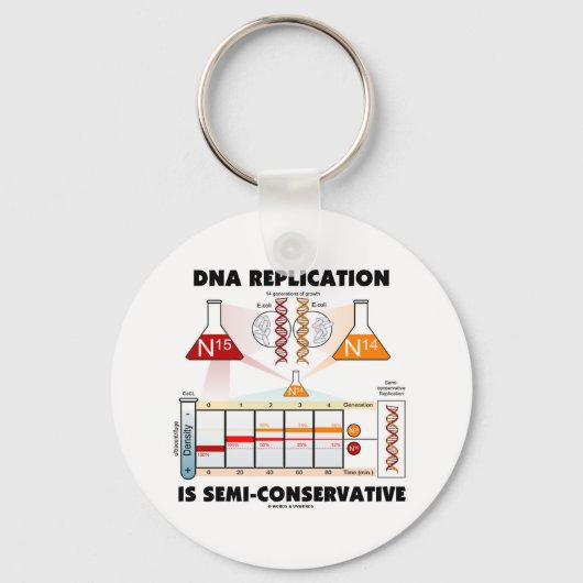 DNA-replicatie is semiconservatief Sleutelhanger (Voorkant)