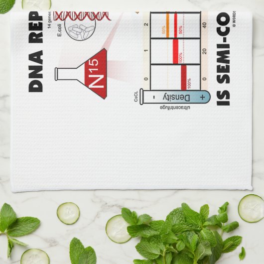 DNA-replicatie is semiconservatief Theedoek (Gevouwen)