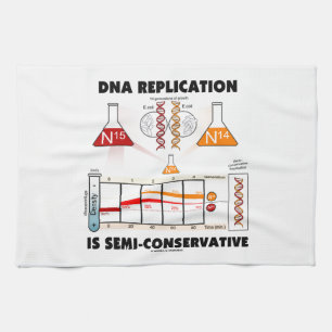 DNA-replicatie is semiconservatief Theedoek