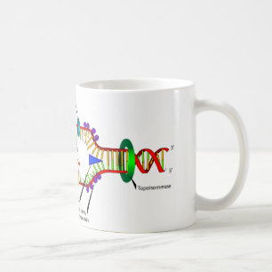 DNA-replicatie Koffiemok