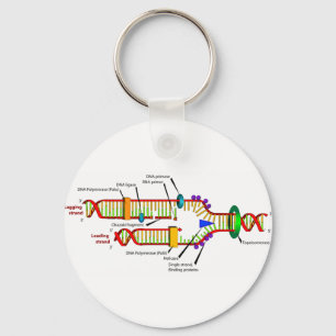 DNA-replicatie Sleutelhanger