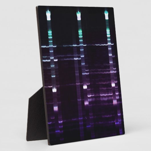 DNA-sequencing Gel 2 Fotoplaat (Zijkant)