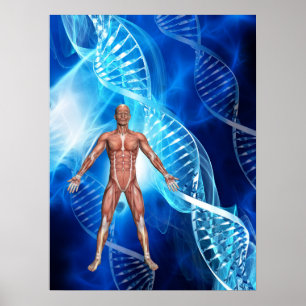DNA Strand Poster