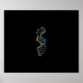 DNA Strand Poster (Voorkant)