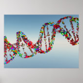 DNA Strand Poster (Voorkant)