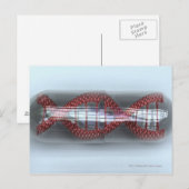 DNA-streng in een capsule Briefkaart (Voorkant / Achterkant)