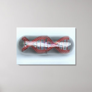 DNA-streng in een capsule Canvas Afdruk