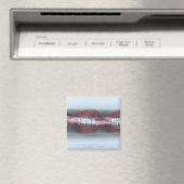DNA-streng in een capsule Magneet (Insitu (Vaatwasser))