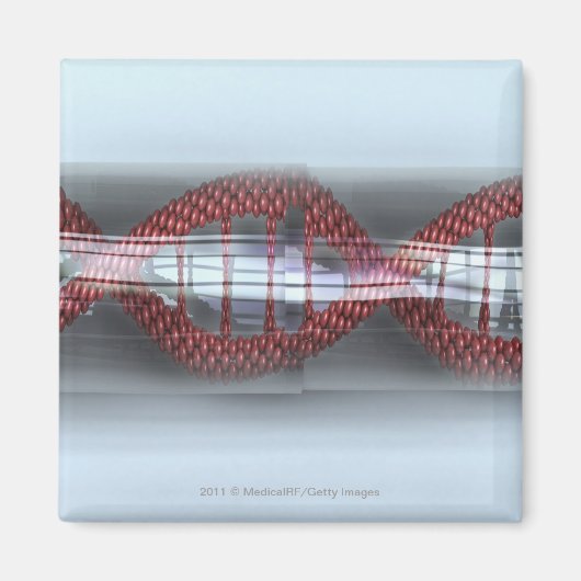 DNA-streng in een capsule Magneet (Voorkant)