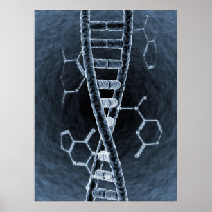 DNA-streng Poster