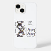 DNA-structuur Deoxyribonucleïnezuur basendiagram Case-Mate iPhone Case (Achterkant)