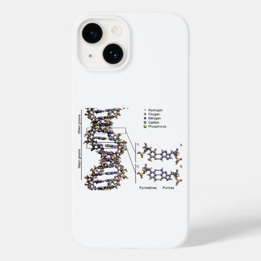 DNA-structuur Deoxyribonucleïnezuur basendiagram Case-Mate iPhone Case (Achterkant)