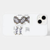 DNA-structuur Deoxyribonucleïnezuur basendiagram Case-Mate iPhone Case (Achterkant (horizontaal))