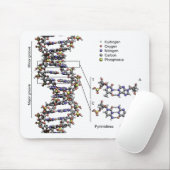 DNA-structuur Deoxyribonucleïnezuur basendiagram Muismat (Met muis)