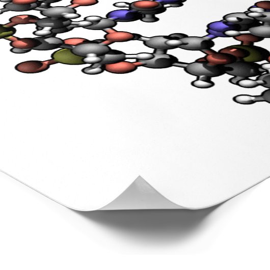 DNA-structuur Deoxyribonucleïnezuurbasen Poster (Hoek)