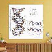 DNA-structuur Desoxyribonucleïnezuur Basen Diagram Canvas Afdruk (Insitu (Woonkamer))