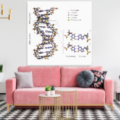 DNA-structuur Desoxyribonucleïnezuur Basen Diagram Canvas Afdruk (Insitu (Woonkamer))