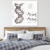 DNA-structuur Desoxyribonucleïnezuur Basen Diagram Canvas Afdruk (Insitu (Slaapkamer))