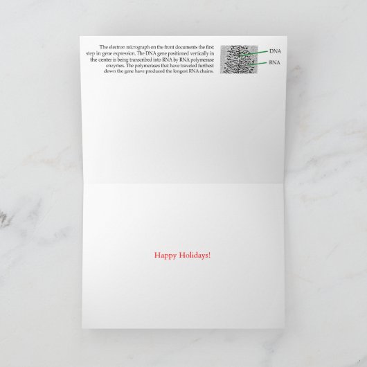 DNA-transcriptieboom vakantie kattenkaart Feestdagen Kaart (Binnen)