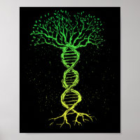 Dna Tree Life Genealoge Bioloog Genetics Science