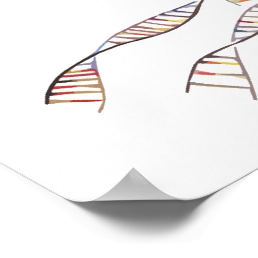 DNA TREE of BLAUW-POSTER Poster (Hoek)