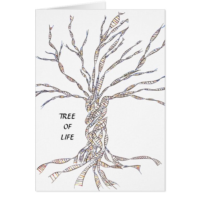 DNA TREE of Levensboom (Voorkant)