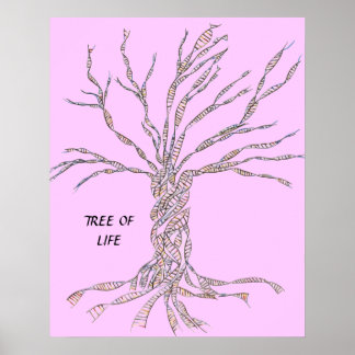 DNA TREE of Tree of Life POSTER PINK