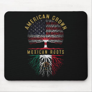 Dna Usa Vlag Amerikaanse Mexicaanse Vlag Mexico Muismat