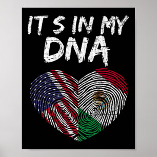 Dna Usa Vlag Amerikaanse Mexicaanse Vlag Mexico Poster