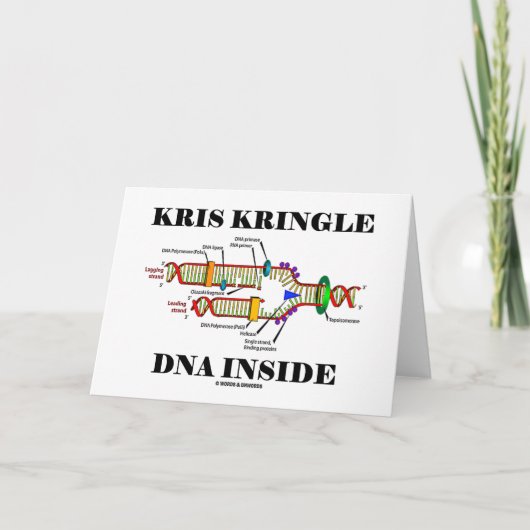 DNA van Kringle van Kris binnen (de Replicatie van Feestdagen Kaart (Voorkant)