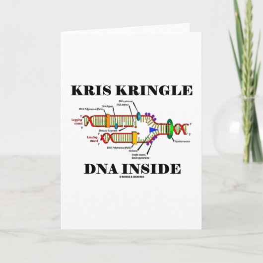 DNA van Kringle van Kris binnen (de Replicatie van Feestdagen Kaart (Voorkant)